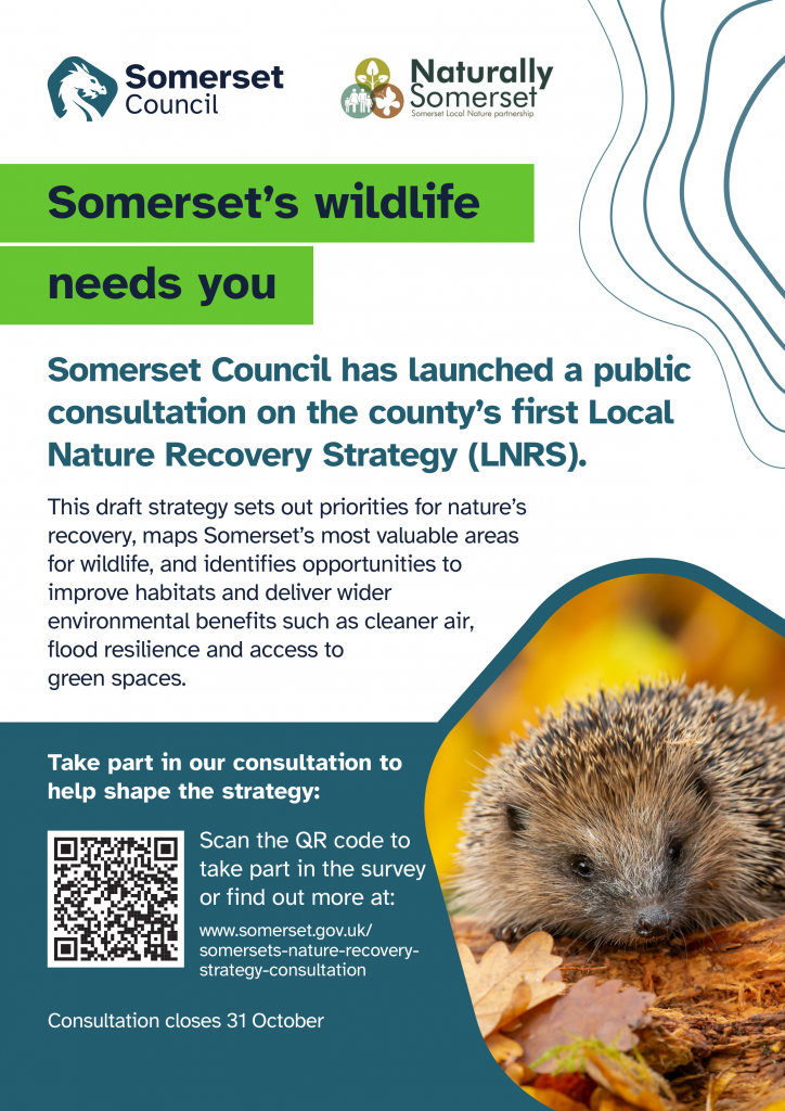 Poster promoting Somerset's Nature Recovery Strategy